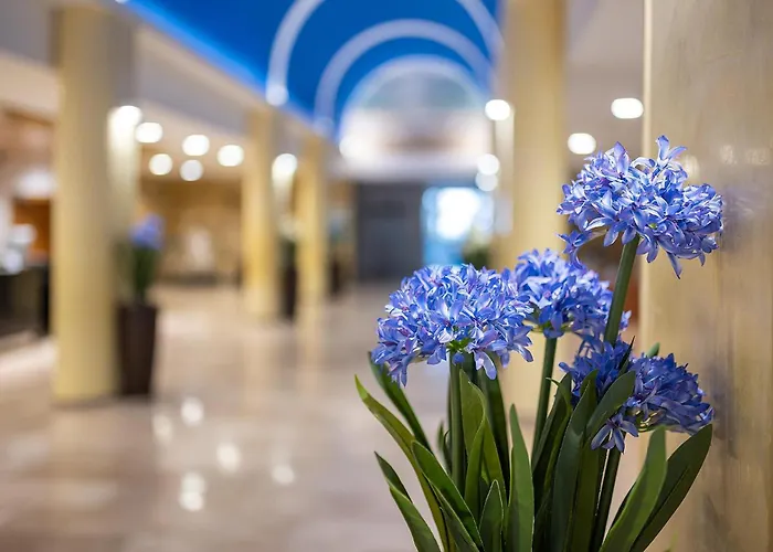 Hotel Playas De Guardamar